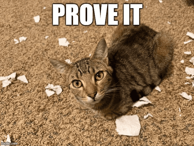 A flurry of paper towel pieces lay on the ground. Lalo looks victorious.
